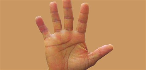 Why Human Palms Have Lines On Them Punch Newspapers