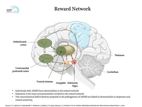 The pharmacology of amphetamine and methylphenidate: Neurobiology of Attention Deficit Hyperactivity Disorder ...