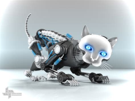 Robo Cat On Behance