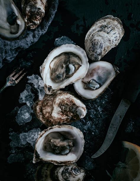 Oysters Unsplash Travel Inspires
