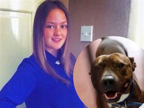 Muere Mujer Tras Ser Atacada Por El Perro Que Rescató