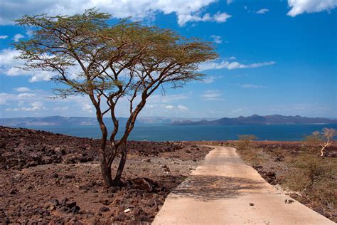 Lake Turkana Of Kenya An Adventurers Paradise