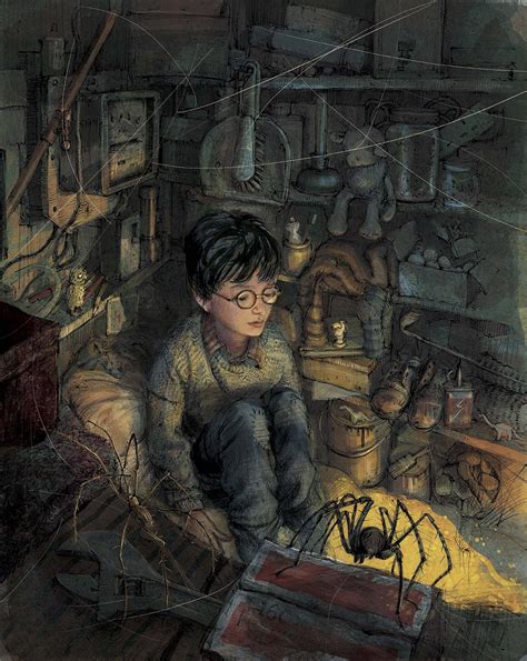 For the first time, j. Harry Potter 1 Illustrated Edition - The Awesomer