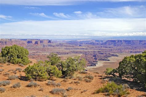 My guest romance author kris bock writes light romantic suspense set in the intriguing landscape of the southwest. Red Rock And Desert Landscape, Southwest USA Stock Image ...