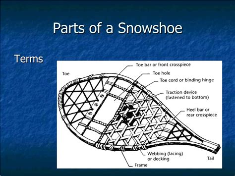 Ppt Lets Go Snowshoe Hiking Powerpoint Presentation Free Download