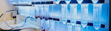 Flagship 3: (Bio)synthetic Technologies for Peptide and Protein