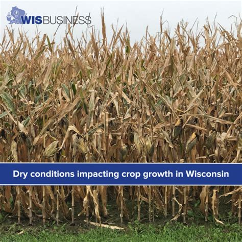 Dry Conditions Impacting Crop Growth In Wisconsin Wisbusiness