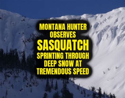 Montana Hunter Observes Sasquatch Sprinting Through Deep Snow At
