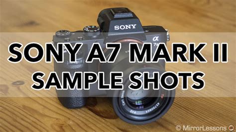 Gallery Of Sony A7 Ii Photo Samples Raw And Sooc S Mirrorless