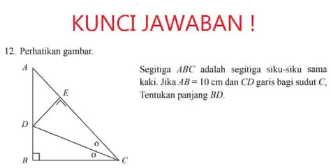 Top Perhatikan Gambar Segitiga Siku Siku Berikut Ini Tentukan Panjang