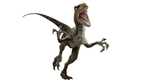 A Dinosaur With Its Mouth Open And Its Teeth Wide Open Standing In The Air