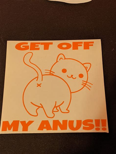 Cat Butt Decals 3 Options Available Cat Anus They Hate Etsy