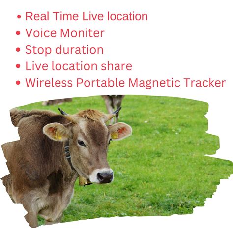 Best Cow Gps Tracking Device Vyncx