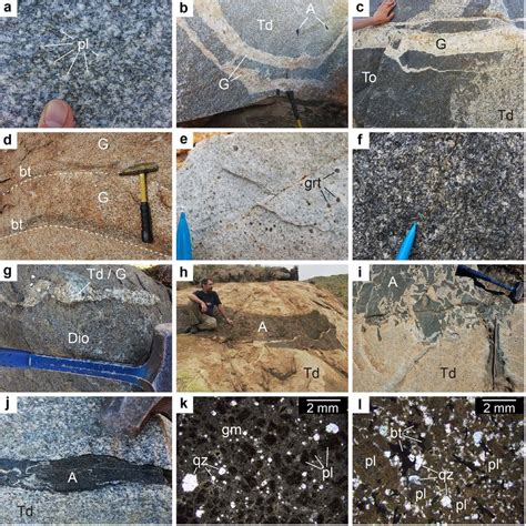 Representative Field Observations And Rock Textures Of The Paleoarchean