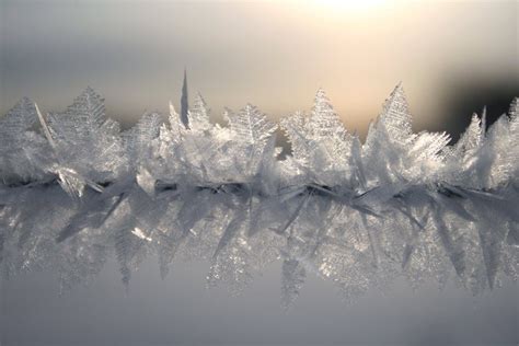 Ice Crystals On A Fence Wire Portrait Girl Photography Food