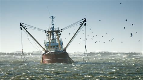 ¿qué Es La Pesca Industrial