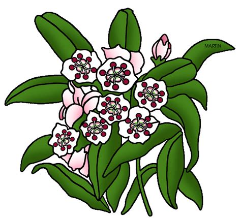 Mountain Plant Clipart 20 Free Cliparts Download Images On Clipground