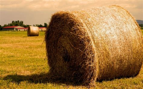 Haystack Wallpaper And Background Image 1600x999