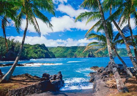 Adoption In Hawaii Laws Rules And Qualifications Considering Adoption