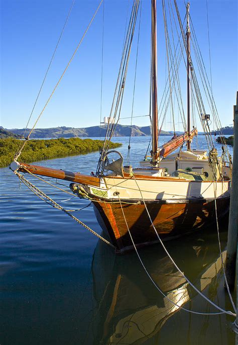 Evening Calm In Coromandel Photograph By Venetia Featherstone Witty