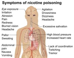 Flavored juul pods will no longer be sold in retail stores — but here's where you can still buy them. Nicotine poisoning - Wikipedia