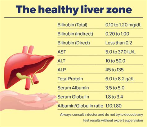 Decoding The Basic Liver Function Tests Happiest Health