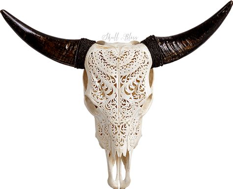 Cow Skull Transparent Background Clipart Large Size Png Image Pikpng