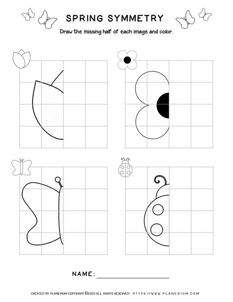 Printable Symmetry Drawing Worksheet