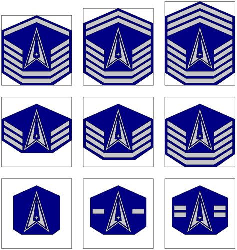 Space Force Unveils New Rank Insignia Prototype Dress 47 Off