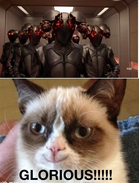 Grumpy Cat Is Evil Rstartrekmemes