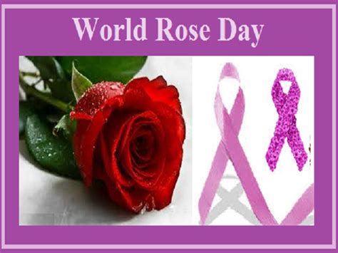 World Rose Day 2020 History Quotes Messages Wishes Significance