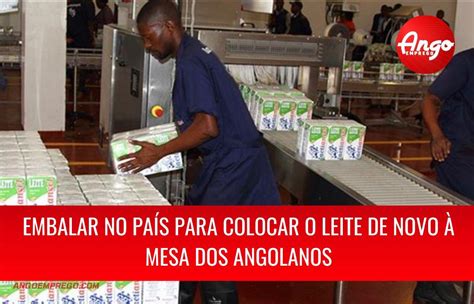 Já São Três Empresas A Embalarem Leite Líquido Em Angola Ango Emprego