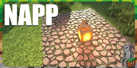 Resource Pack Napp 114 116 Minecraft France