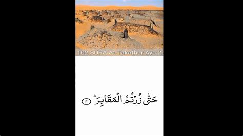 102 Surah At Takathur The Piling Upby Rashid Mishary Al Fasy