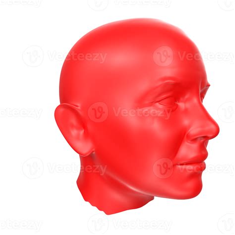 Free 3d Rendering Of Human Bust 18065892 Png With Transparent Background
