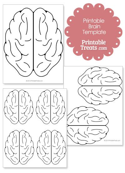 Printable Brain Template — Printable