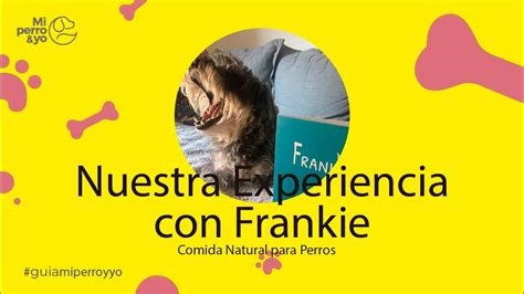 Frankie The King Dog Experience Olivia Feliz 😀 Youtube