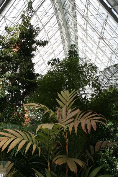 Biodome Vs Botanical Garden Fasci Garden