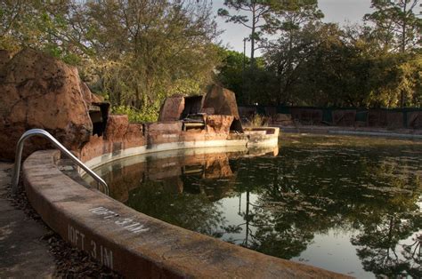 These Photos Of An Abandoned Disney World Water Park Will Totally Creep
