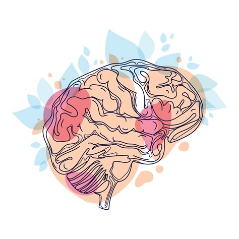Cérebro Humano Desenho De Linha De Arte Mínima Ilustração Em Vetor