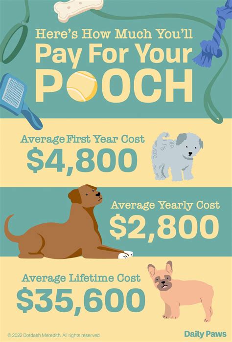 How Much Does A Puppy Really Cost