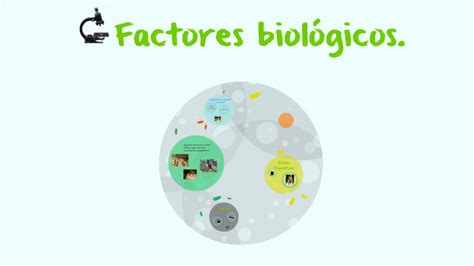 Top 112 Dibujos de factores biológicos Ginformate mx