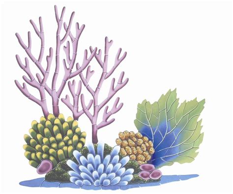 Coral Reef Clipart Free 10 Free Cliparts Download Images On