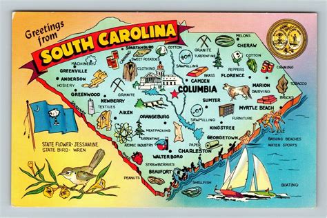 Sc South Carolina State Map State Flower State Bird Chrome Postcard