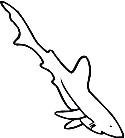 Capture and color some tiger coloring pages. Tiger Fish Coloring Pages Coloring Pages