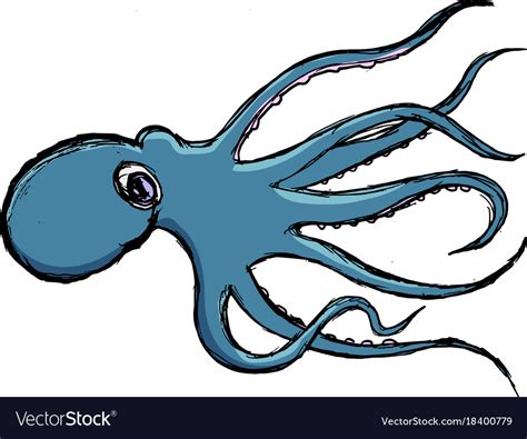 Sketch Of Octopus Royalty Free Vector Image Vectorstock