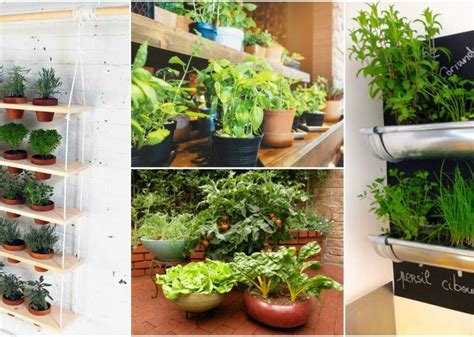 Grow Your Own Food With Indoor Vegetable Garden