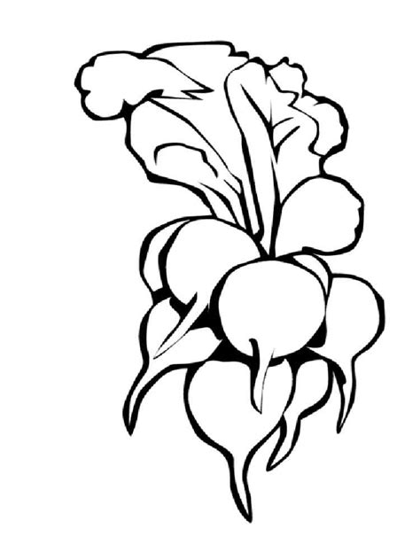Radish Coloring Page at GetColorings.com | Free printable colorings