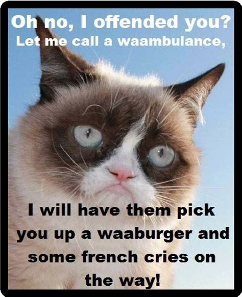 Funny Cat Humor Grumpy Cat Oh No I Offended You Refrigerator Magnet Ebay