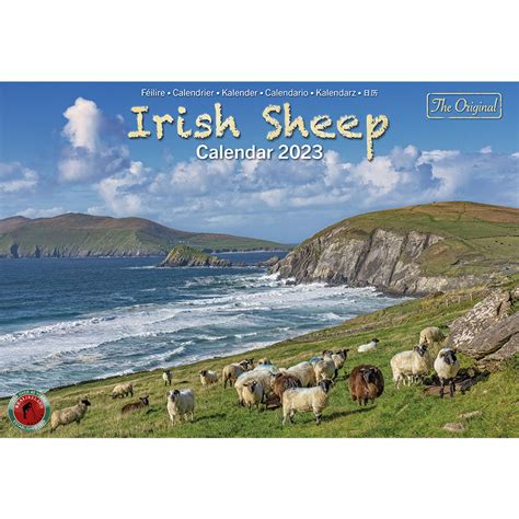 2023 Irish Sheep A4 Calendar Calendars 2023 Le Comptoir Irlandais Hot